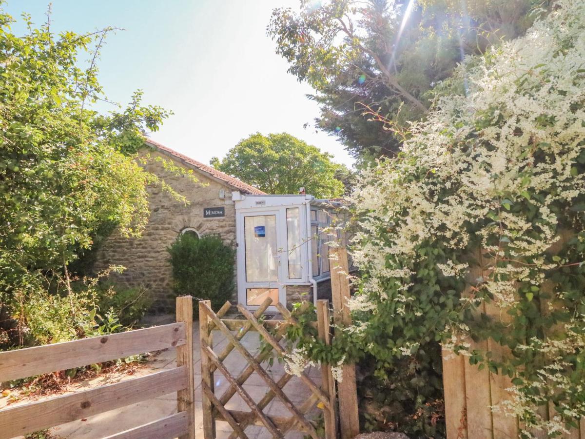 Mimosa Cottage Swyre Bagian luar foto